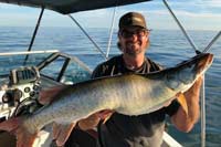 Lake Erie Muskie