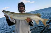 Lake Erie Muskie